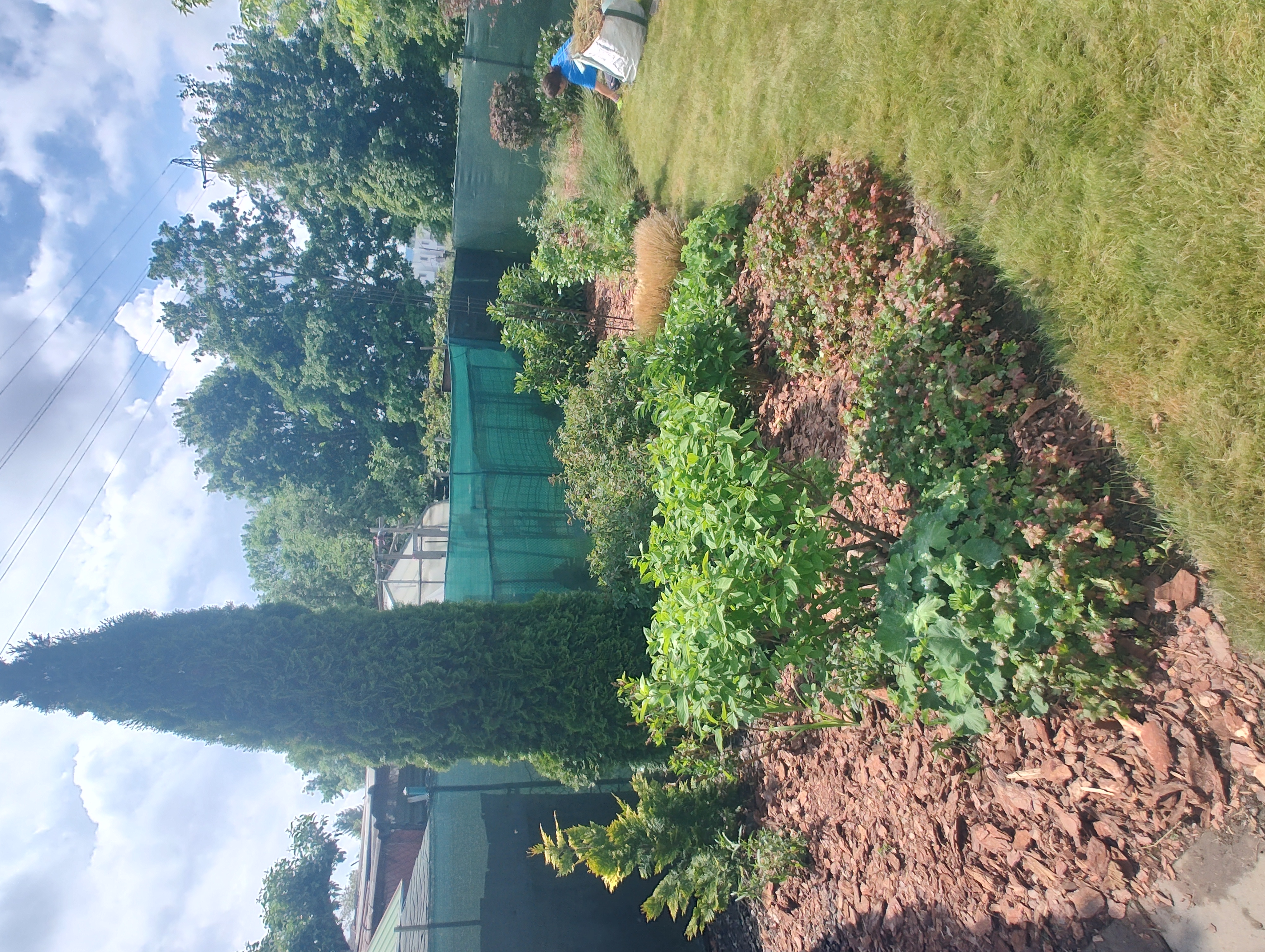 Fox Garden práce 10