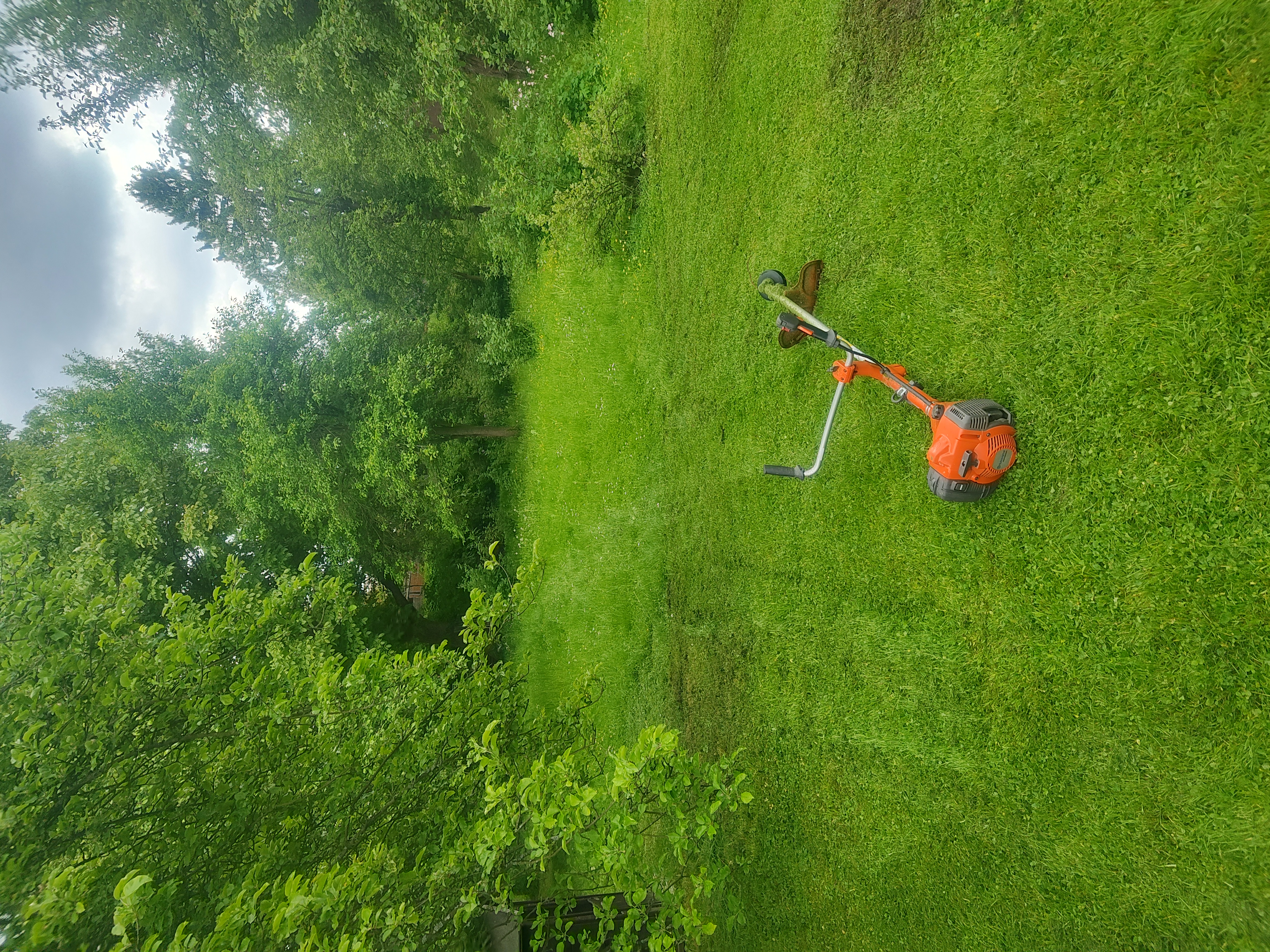 Fox Garden práce 11