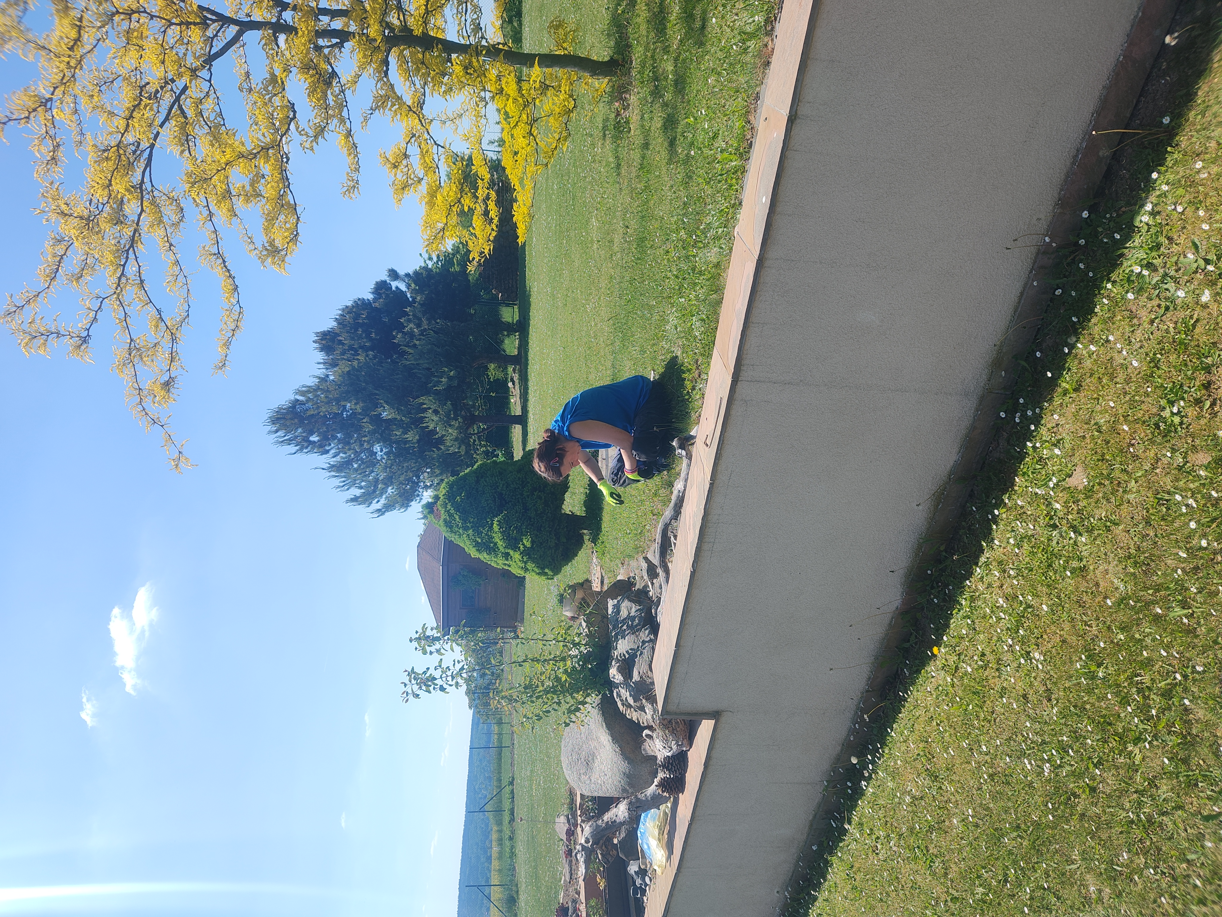 Fox Garden práce 14