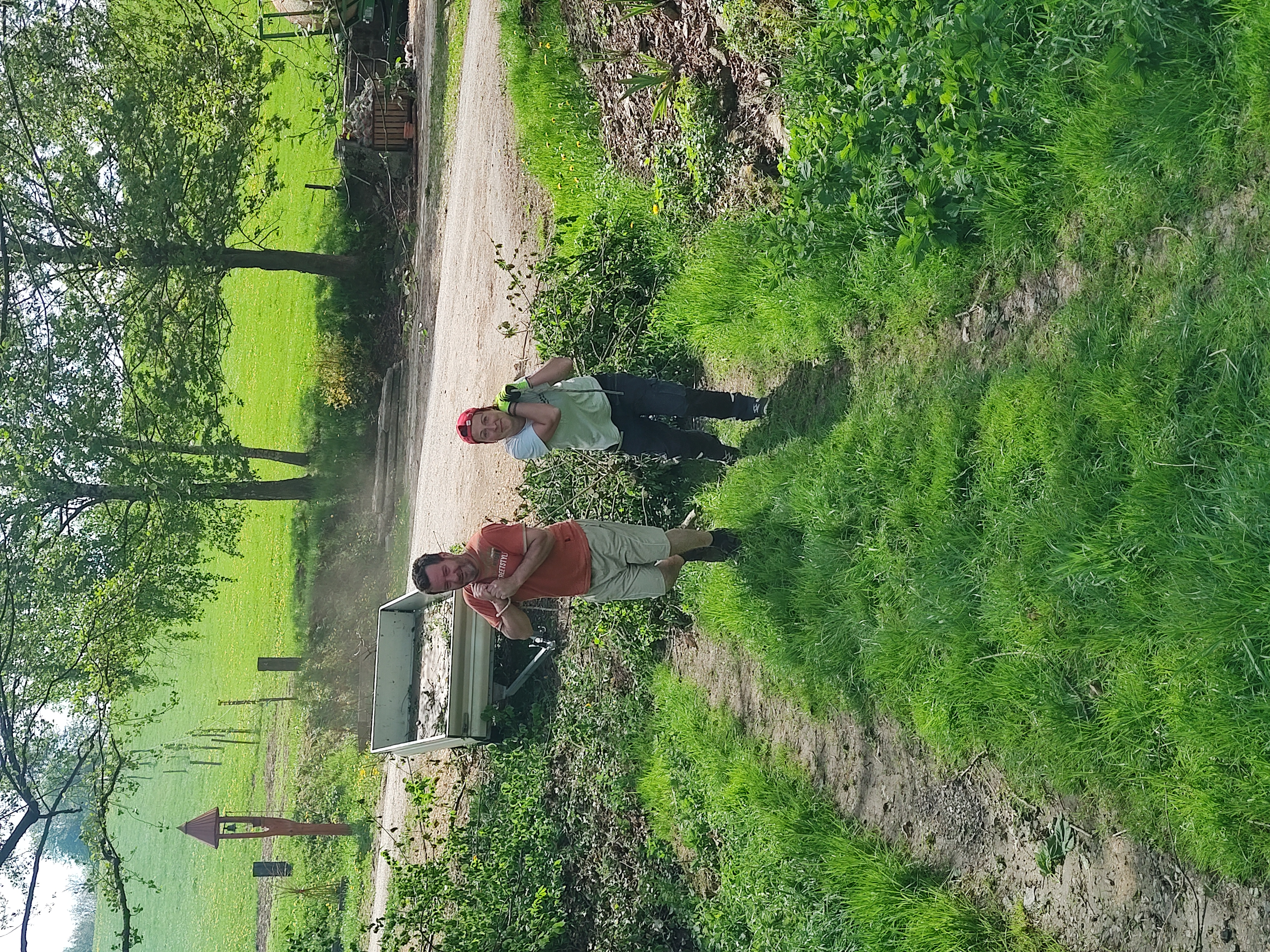 Fox Garden práce 16